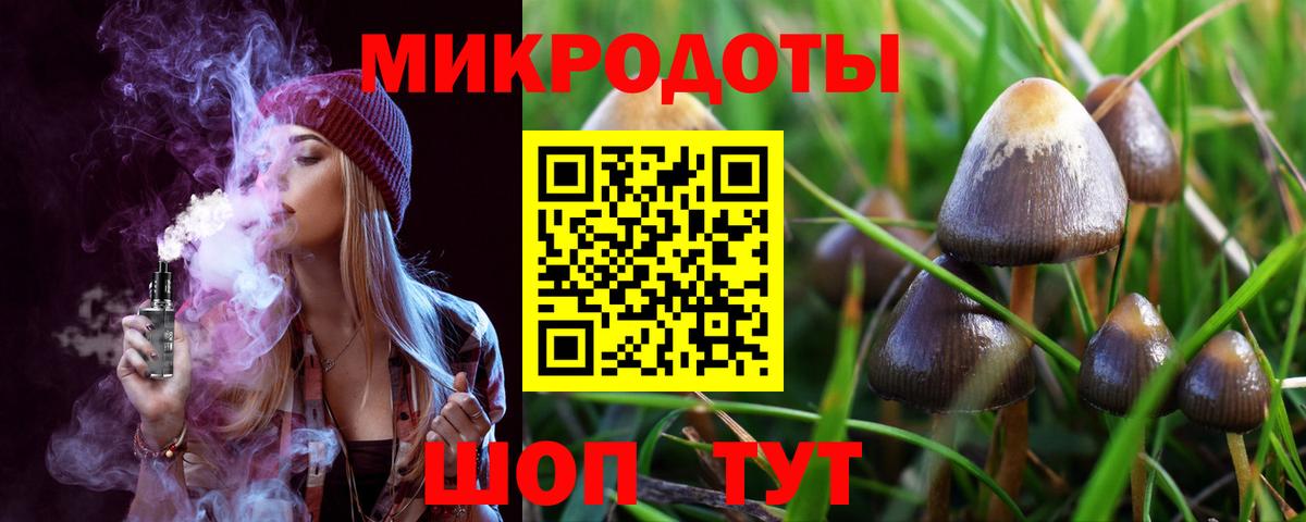 Псилоцибиновые грибы Psilocybine cubensis Алейск